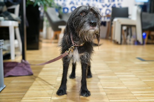 Foto 19 von 47: BASECAMP_Debate: Die Zukunft der digitalen Identitäten – wie bekommen wir Deutschland digital? (20.11.2024)