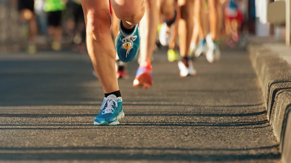 Foto: Marathon / Shutterstock 358877561