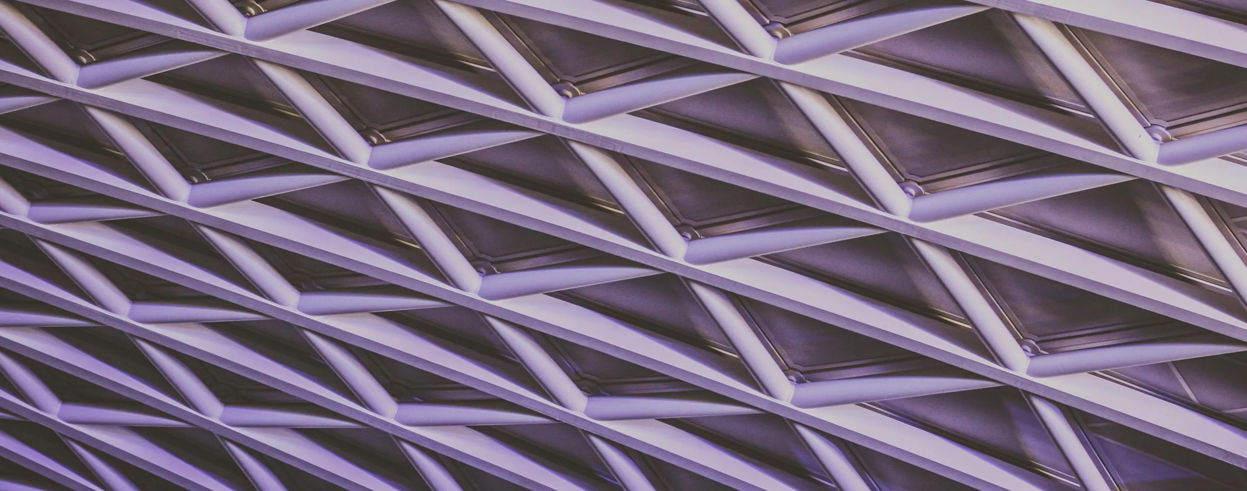 Gitter Netz unsplash