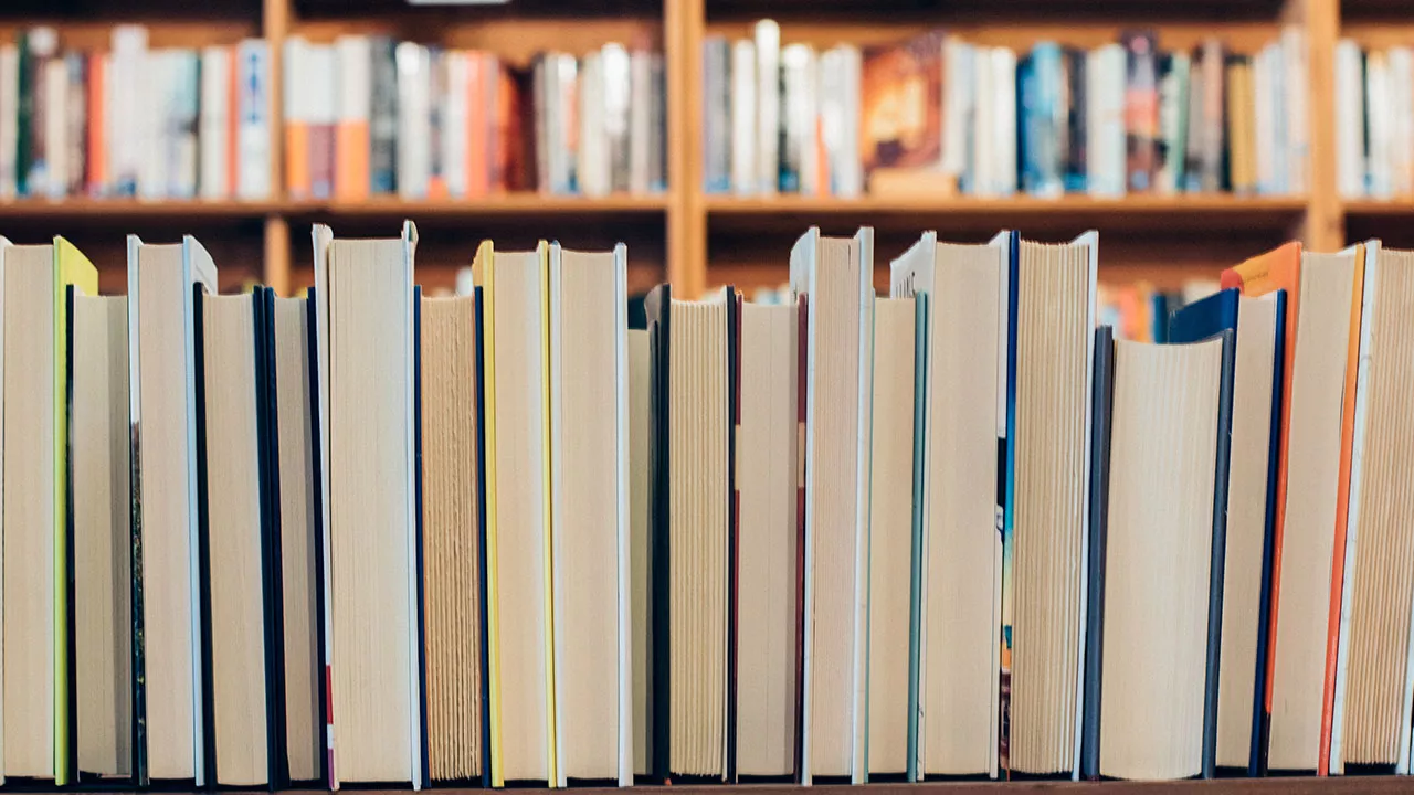 unsplash Bücher Bibliothek Regal Seiten