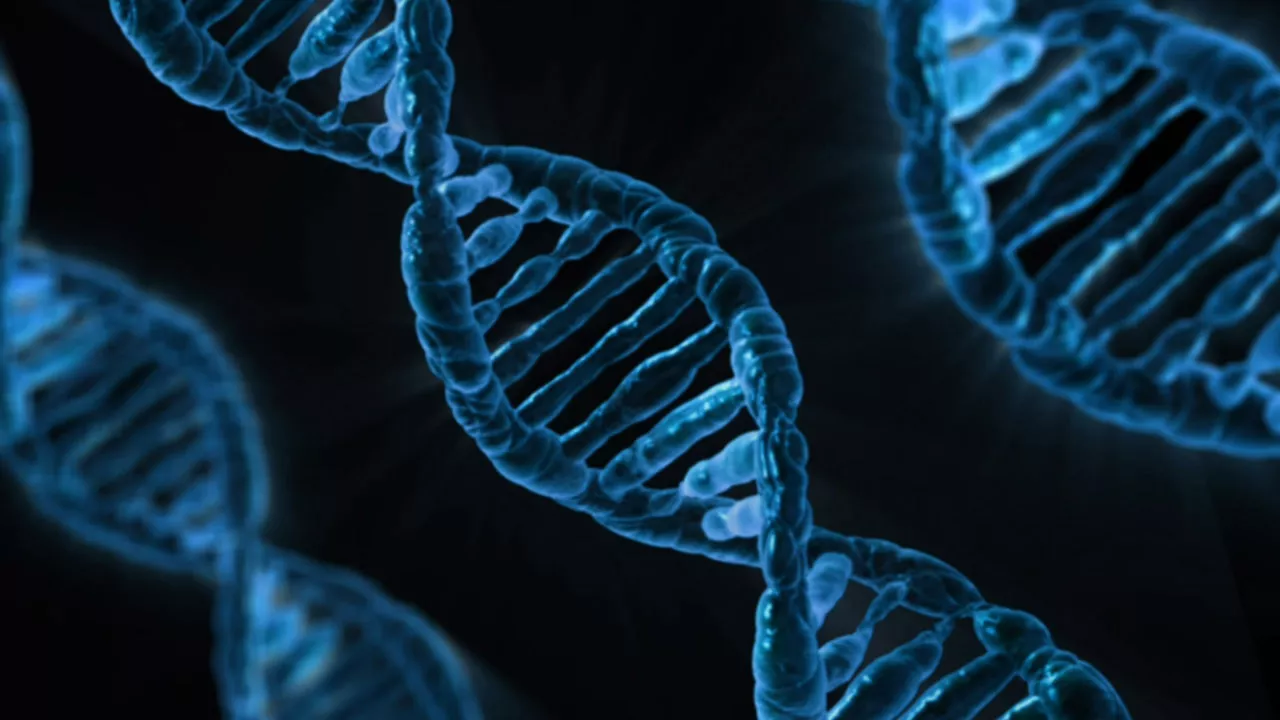 pixabay-PublicDomainPictures-dna-163466-1280x720