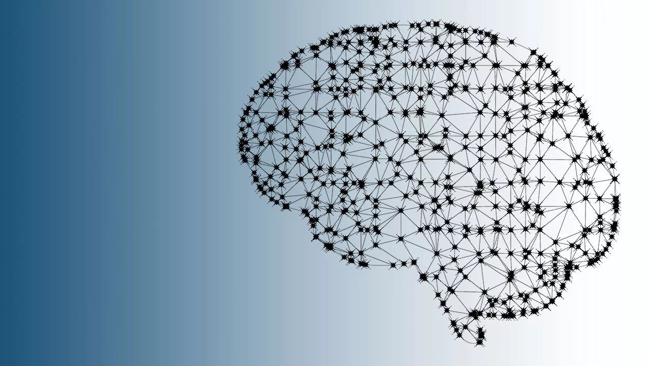 pixabay GDJ Gehirn brain Vernetzung Digitalisierung