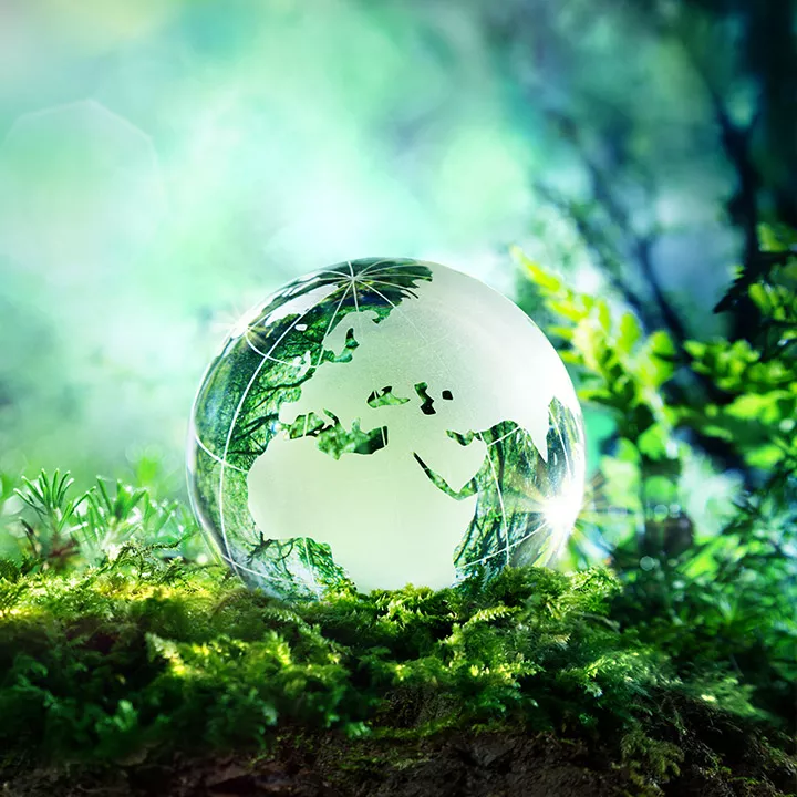 Umwelt Erde Natur shutterstock